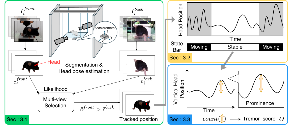 Overview of the proposed markerless video-based tremor analysis framework
